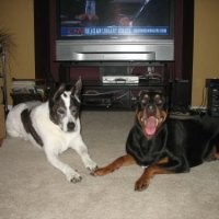 Dylan Walker Dwalker@Kforce.Com