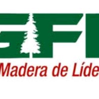 Recursos Humanos Gfi