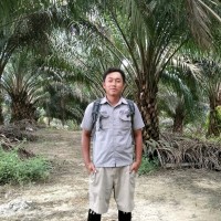 Wawan Setiawan