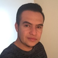 Jorge Andres Borda Salinas