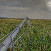Wes Shaffer - Irrigation Consultant