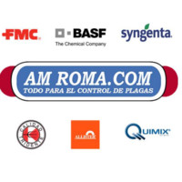 AM Roma SA de CV