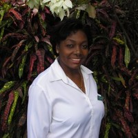 ISOLA Giddings
