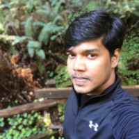 Roshan Britto T