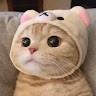 닉네임