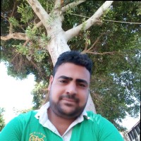 Eid Fawzy