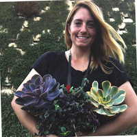 Allison Driscoll