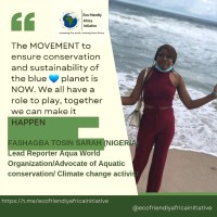 Tosin Sarah Fashagba