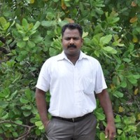 kailasam thevar