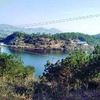 李夏怡