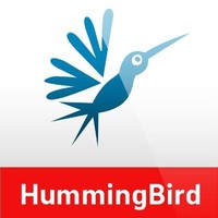 Humming Bird