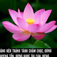 Anh Dzung