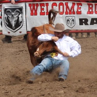 Denver Roy