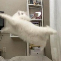 Casper Gao
