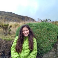 Kimberly Alvarez Hincapie