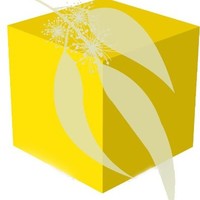 Yellow Box