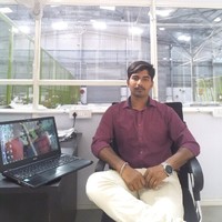 Naveena H