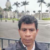 Sergio Antonio Minaya Jimenez