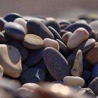 李金红