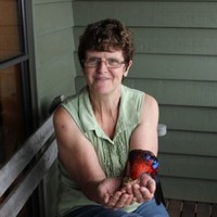 Lanie White