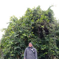 Nurin Hasyimah Tasrip