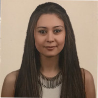 Sibel Coban