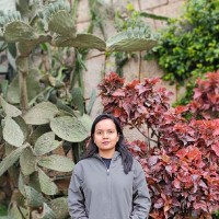 Shikha Kushwaha