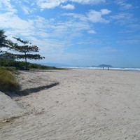 Peterson Ferreira