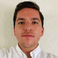 Luis Octavio Villegas  Del Real