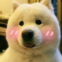 刘同涛