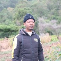 Amanuel Samuel