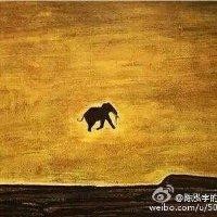 周孟君