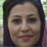 zeinab julaei