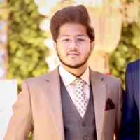 Hanan Ansari