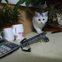 邓文锋