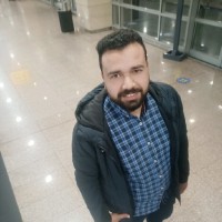 Mahmoud Elwerdany