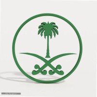 أحمد الزايدي