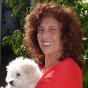 Norma Diana Groisman