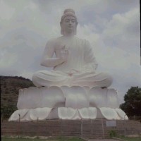 Harshitha A