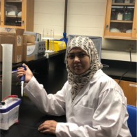 Syeda Sultana