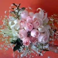 Ali Arshad