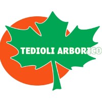 Stefano Tedioli