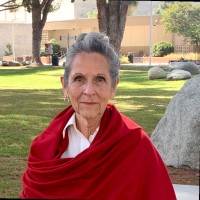Nan Gomez-Heitzeberg