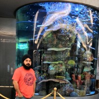 Jagandeep Singh