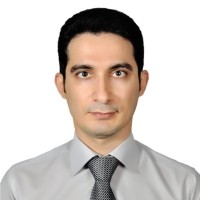S. M. Hossein Tabatabaei