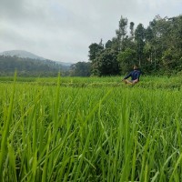 Akash Ga