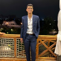 Hazem Elshafei