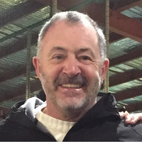 David Adamson