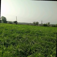 SUNKAVALLI JANARDHANA RAO