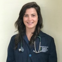 Madeleine Westbrook, Ms, Dvm